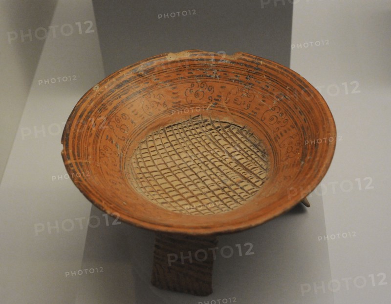 Tripod plate