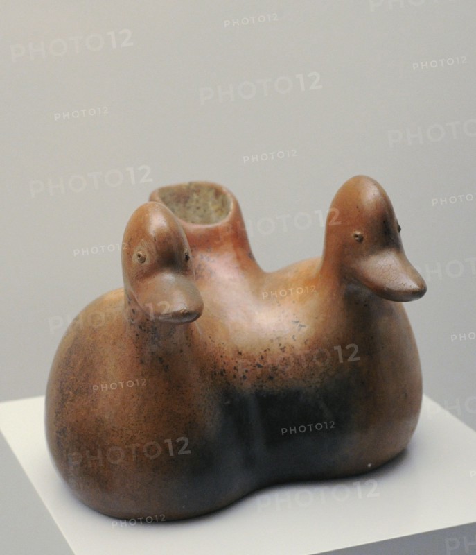 Geminated vessel depicting ducks