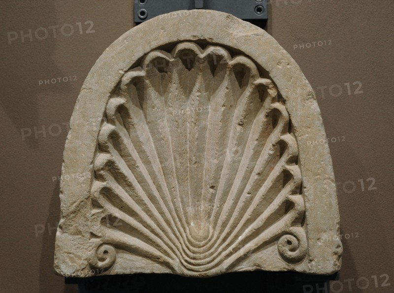 Capital in a shape of shell
