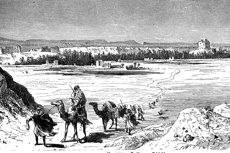 Camel caravan in the Arabian desert