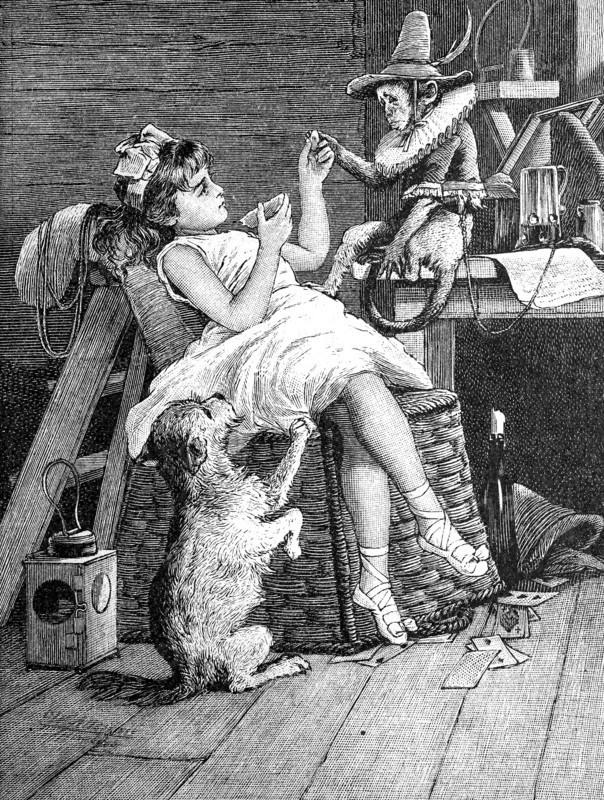 In monkey theatre