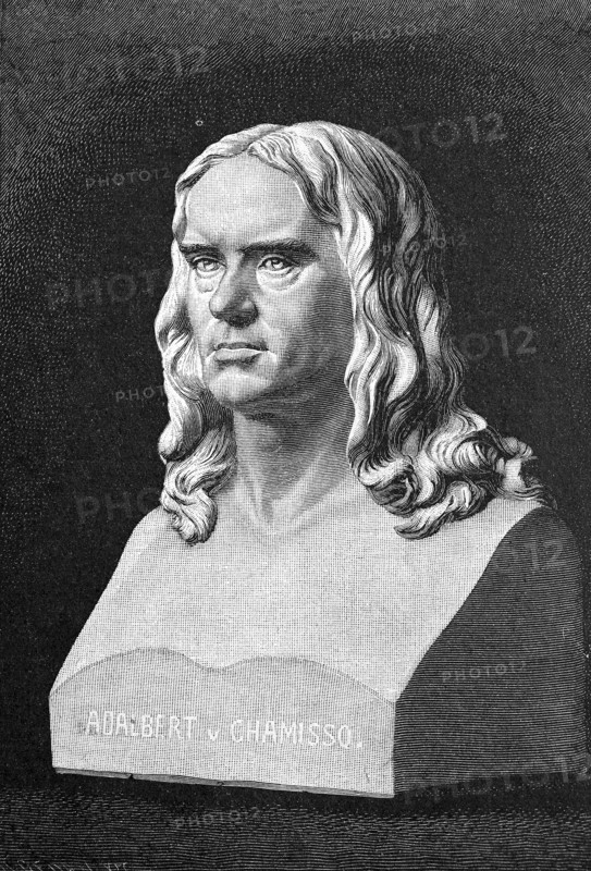 Bust for the Chamisso Monument in Berlin