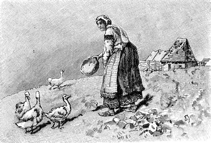 Peasant woman in Bulgaria feeds the geese