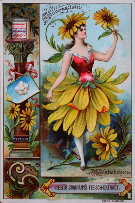Photos Series women as flowers