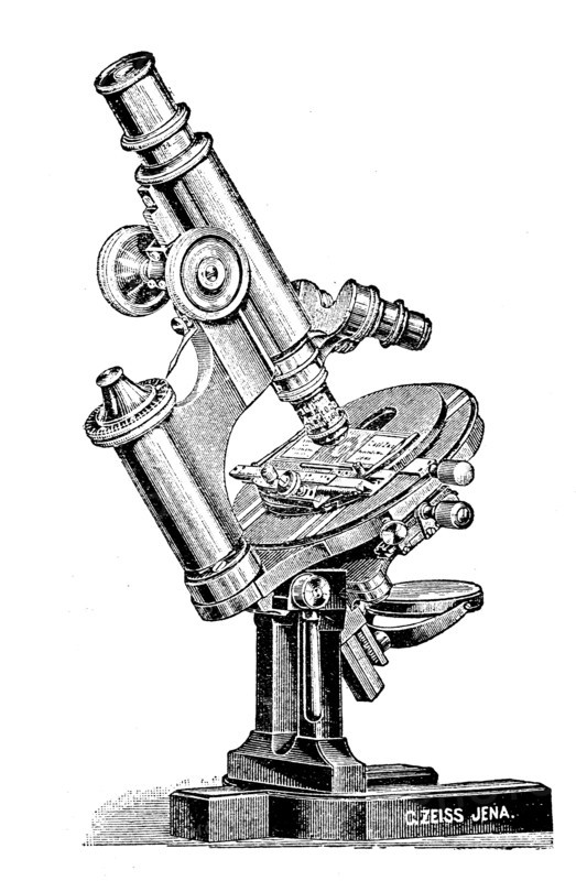 Microscope of the company Zeiss from Jena