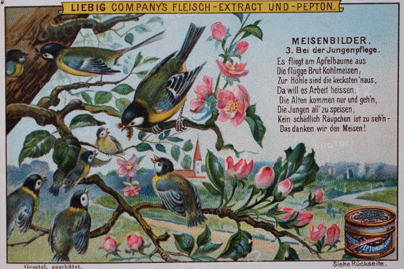 Series tit pictures