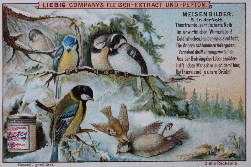 Series tit pictures