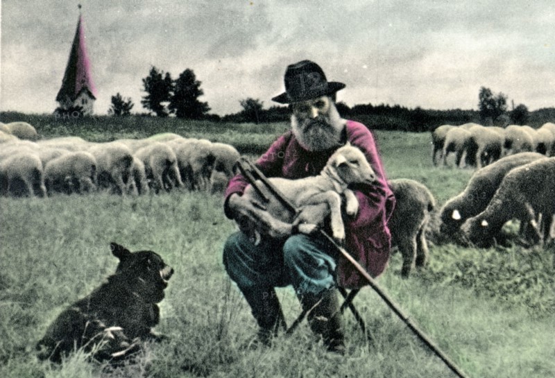 old postcard