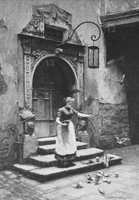 Pigeon feeding