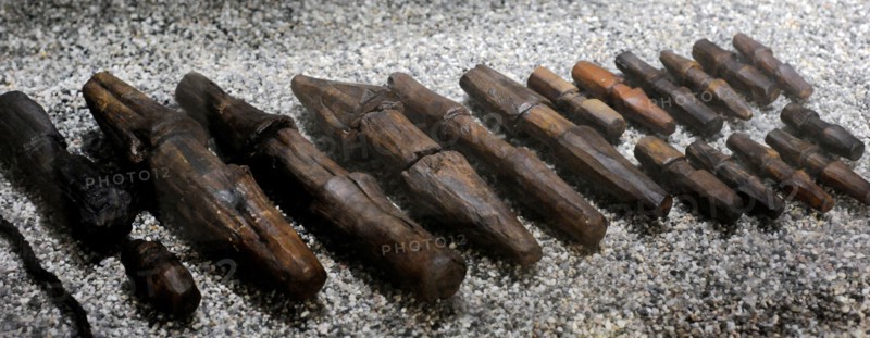Viking age, Beckets for securing the rope