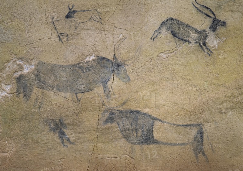 Detail of the cave paintings. Caves of El Cogul