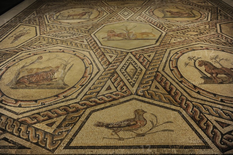 Floor mosaic from a Roman house in Trier.
