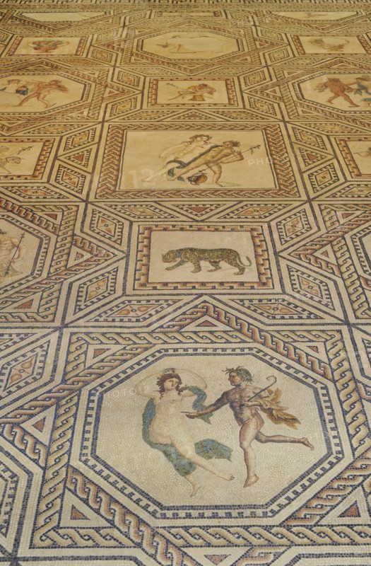 Dionysus Mosaic.