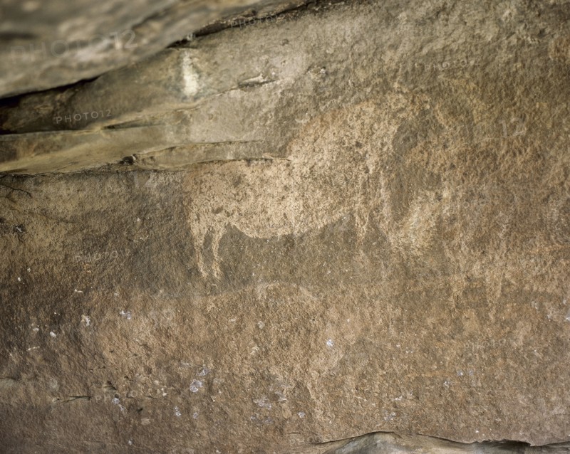 Cave of Cocinilla del Obispo.