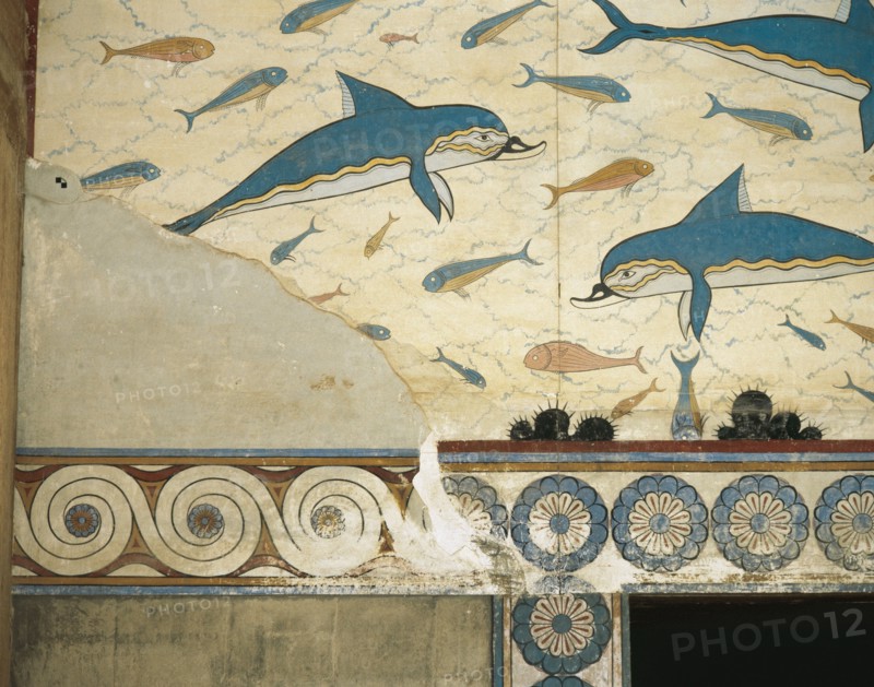 The Dolphins.