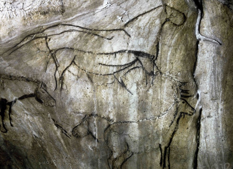 Horse and deer.