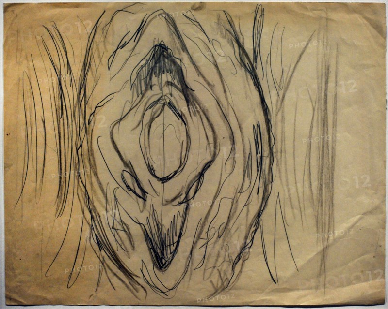 Sketch of a Vulva