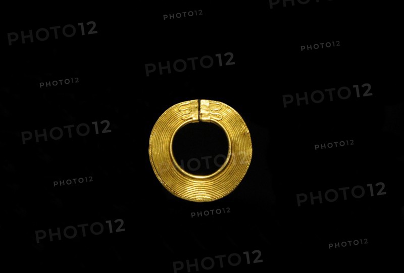 Golden disk