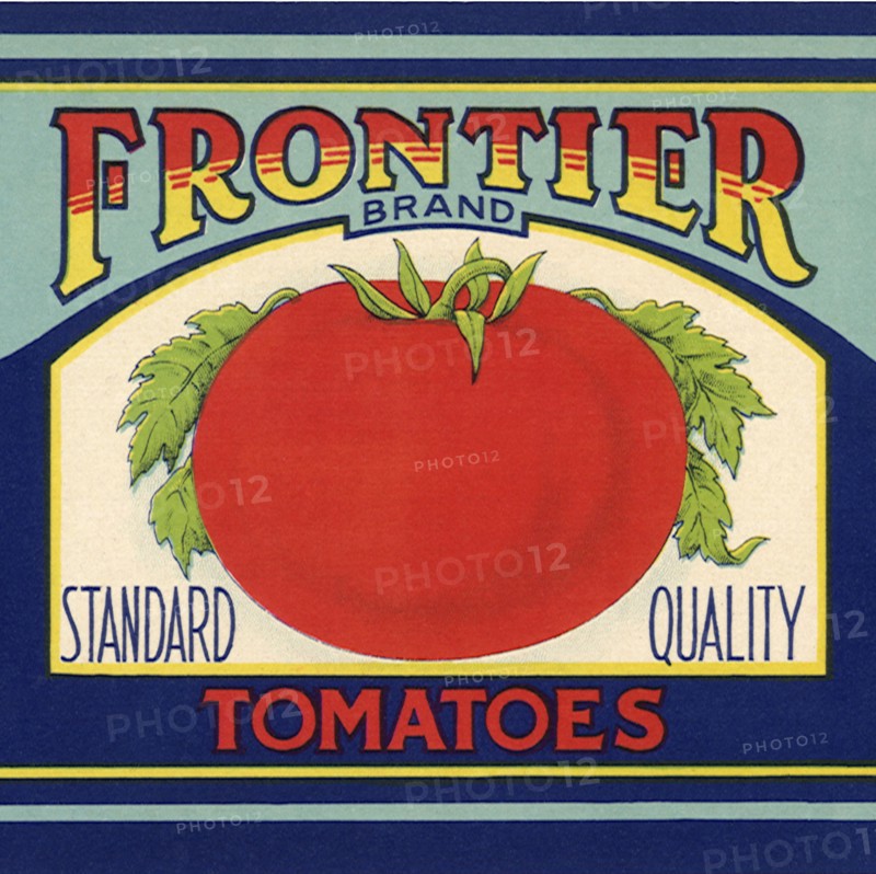 Tomato