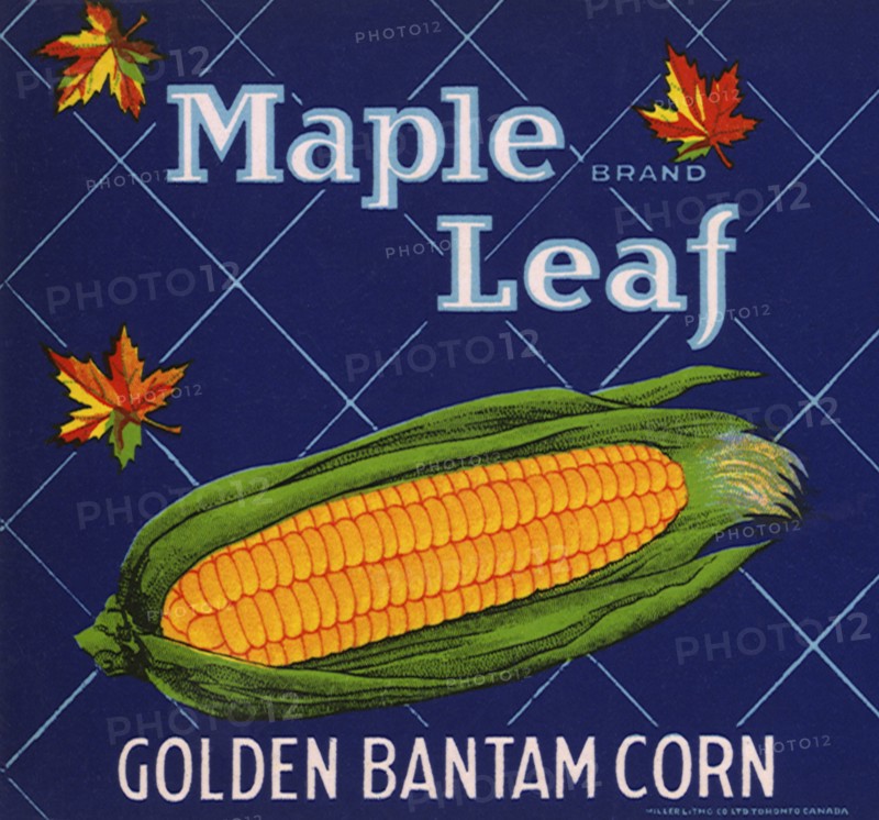 Corn on the Cob