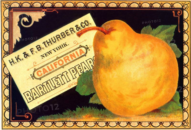 Pear Advertisement
