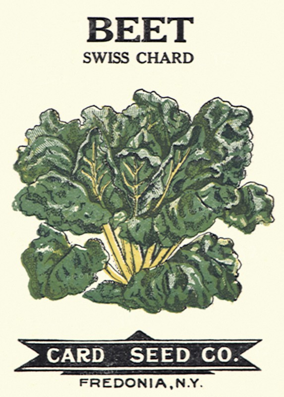 Beet Seed Packet