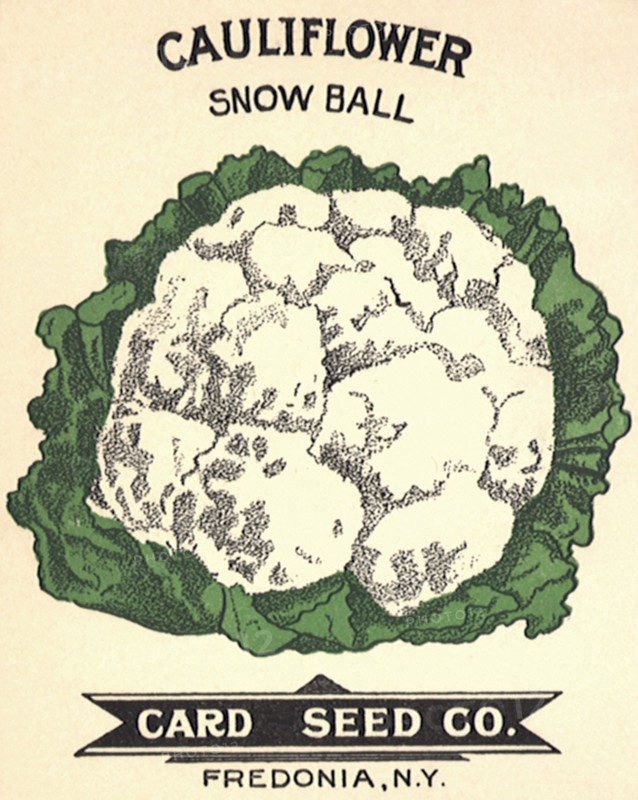 Cauliflower Seed Packet