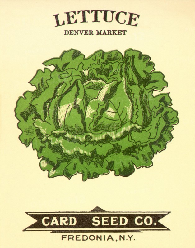 Lettuce Seed Packet