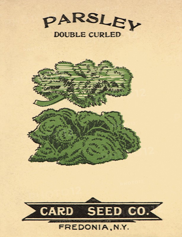 Parsley Seed Packet