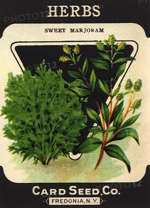 Herbs Seed Packet