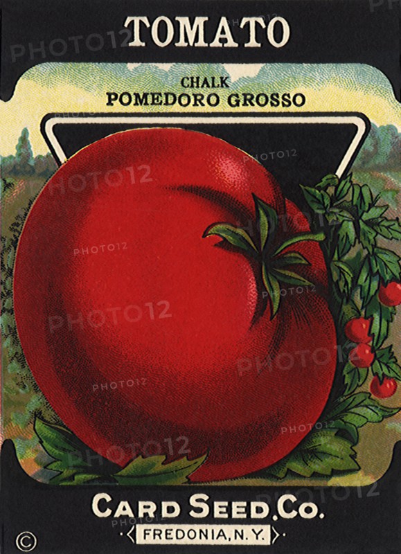 Tomato Seed Packet