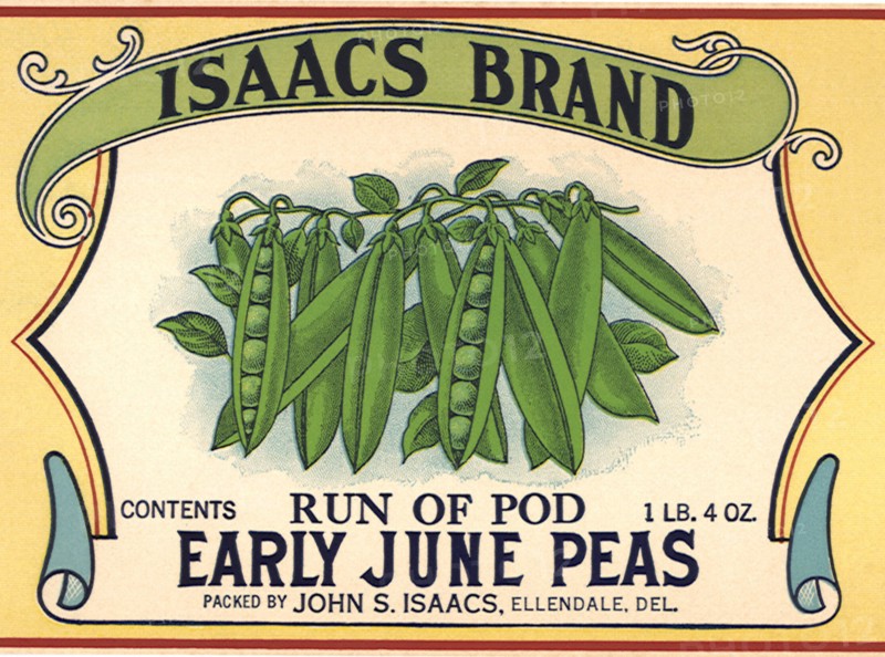 Peas in a Pod