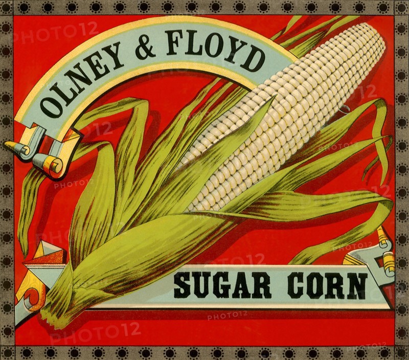 Sugar Corn Label