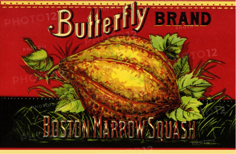 Squash Label