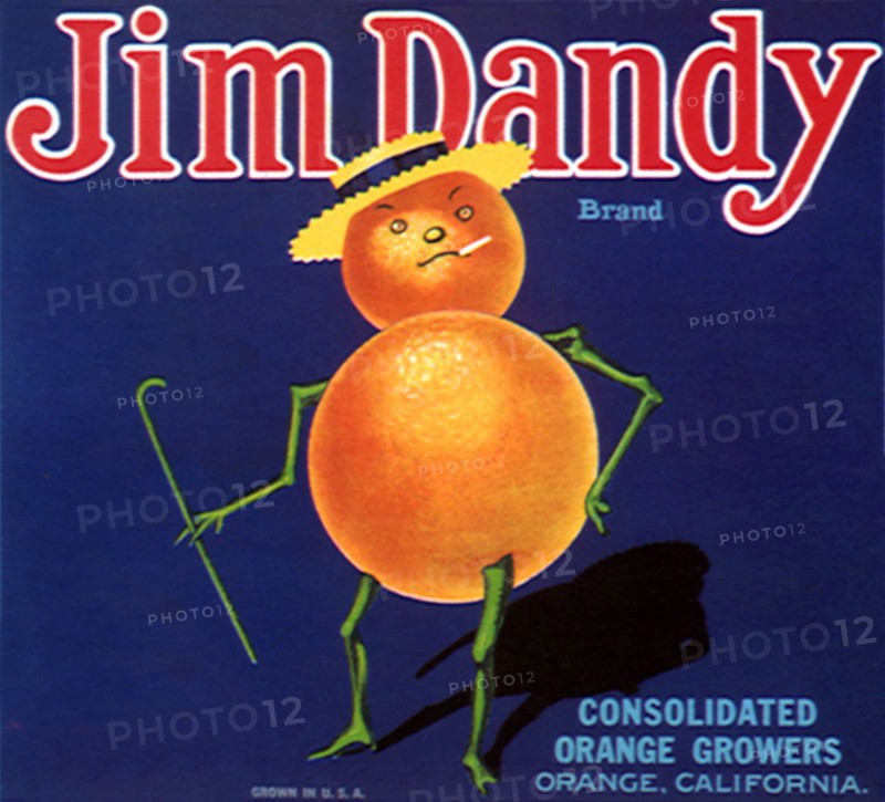 Jim Dandy Brand