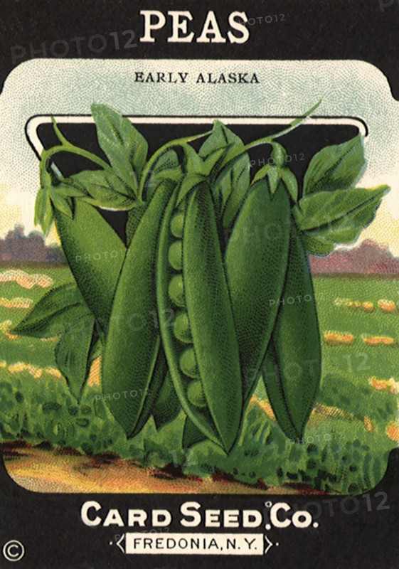Peas
