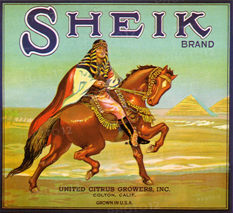 Sheik Brand