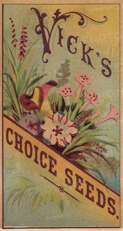 Vick’s Choice Seeds