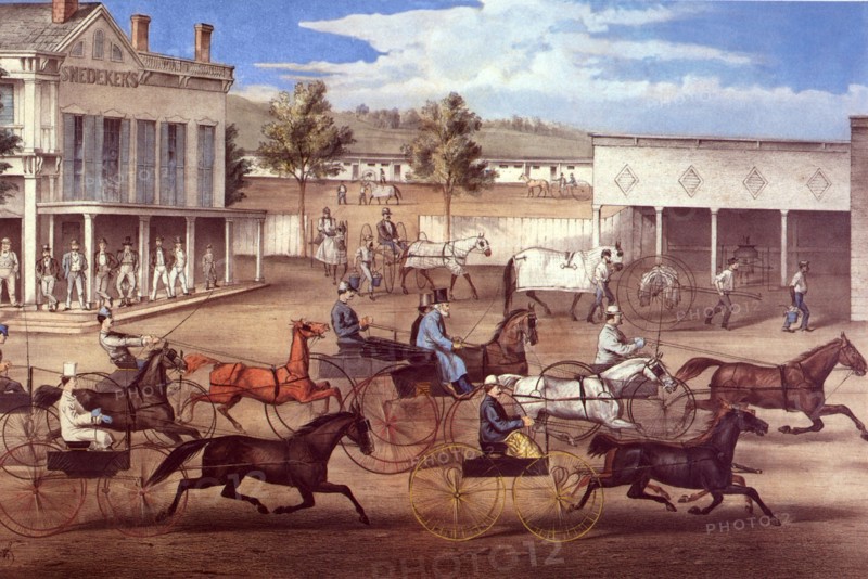 Going to the Trot