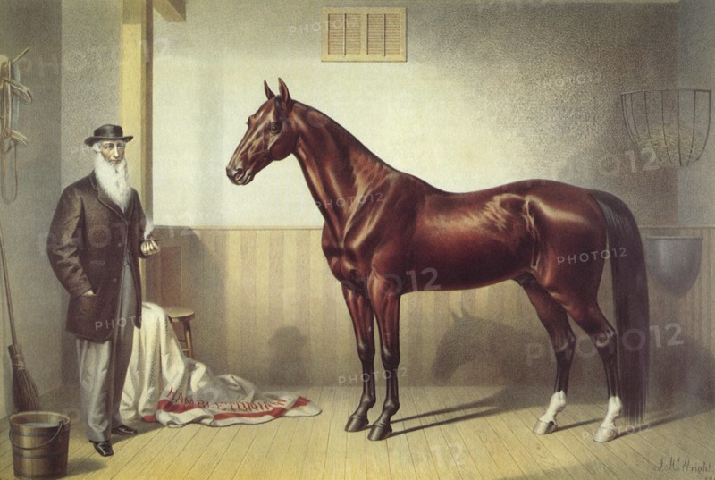 Hambletonian (Stall Scene)