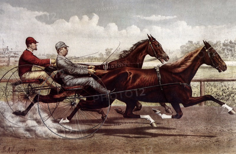 Prince Wilkes