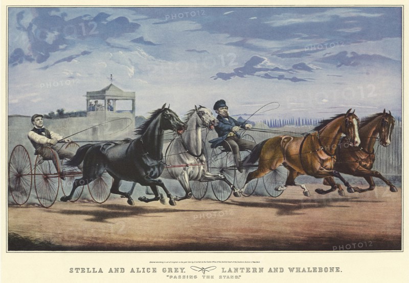 Stella and Alice Grey, Lantern and Whalebone - Passing The S