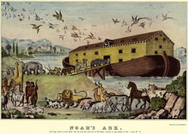 Animals Entering Ark