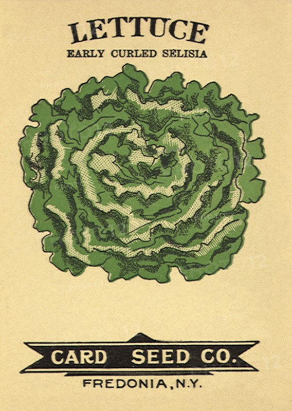 Lettuce Seed Packet.