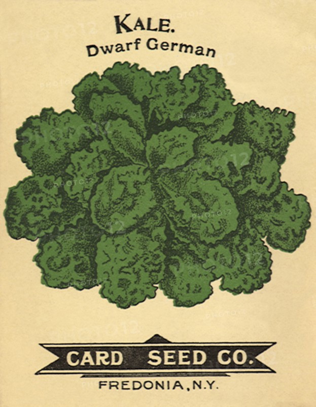 Kale Seed Packet