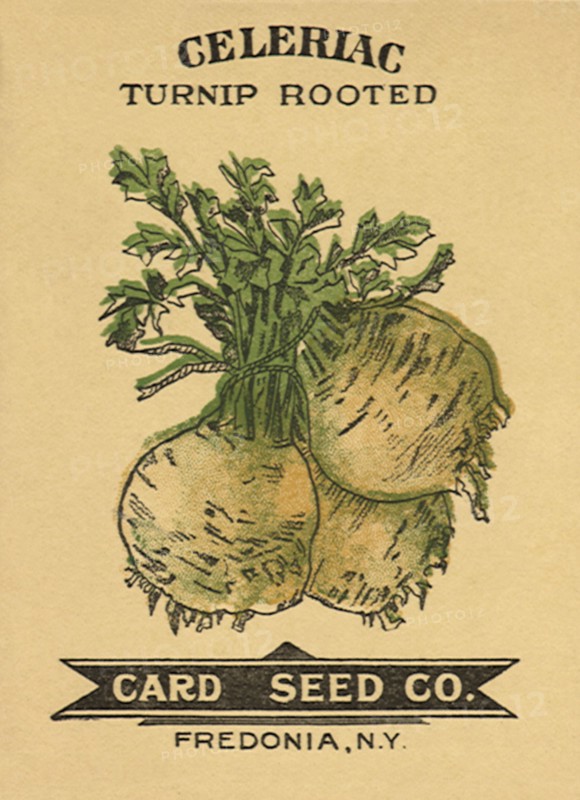 Celeriac Seed Packet