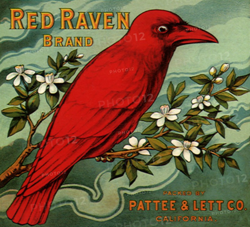 Red Raven Fruit Label