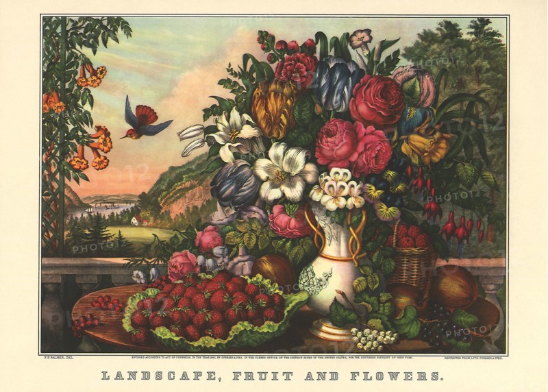 Landscape, Fruit And Flowers