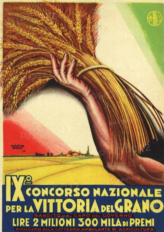 Arm Holding Wheat