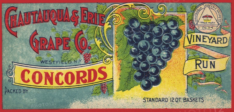 Grape Label